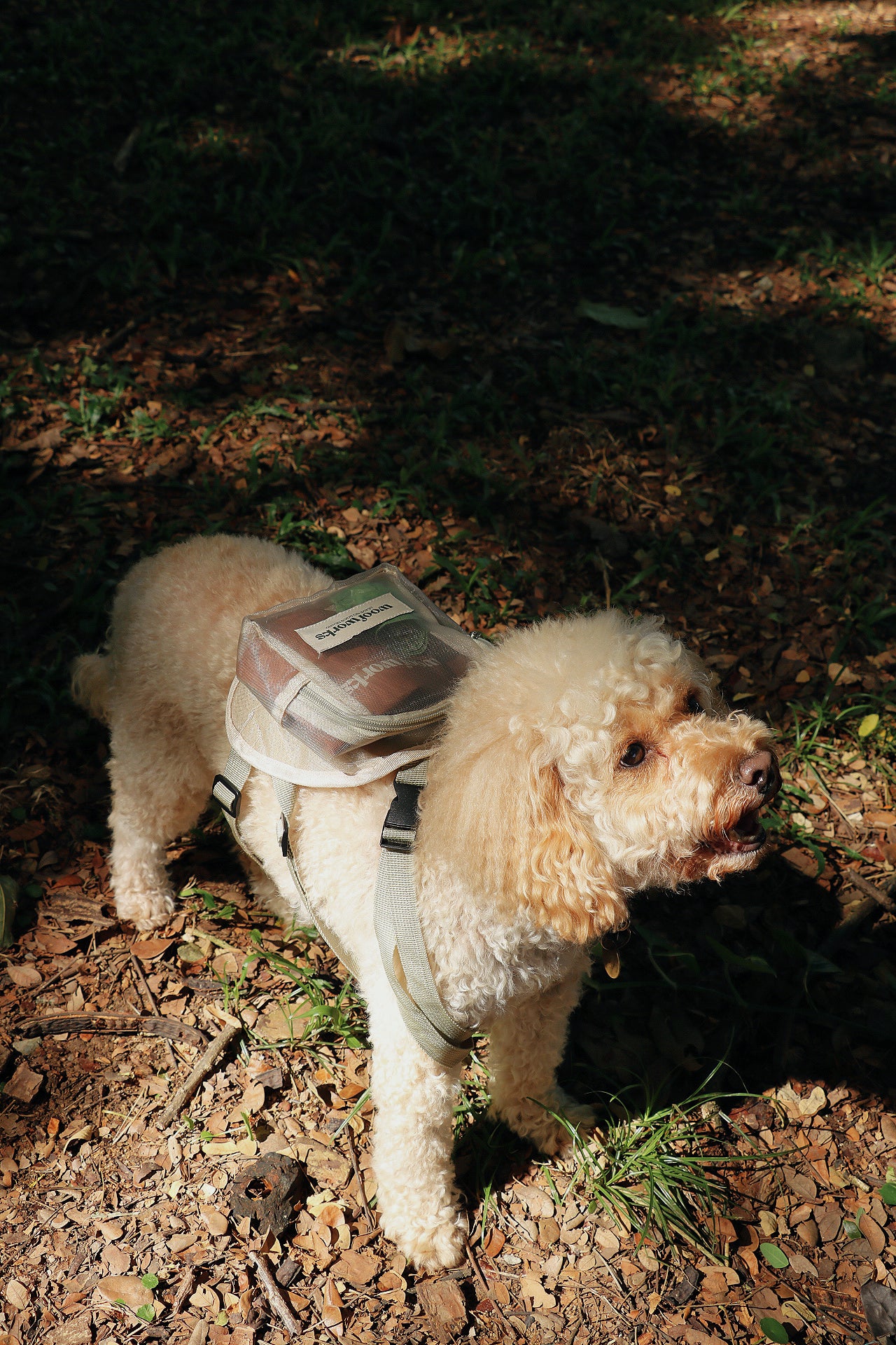 pet barkpack