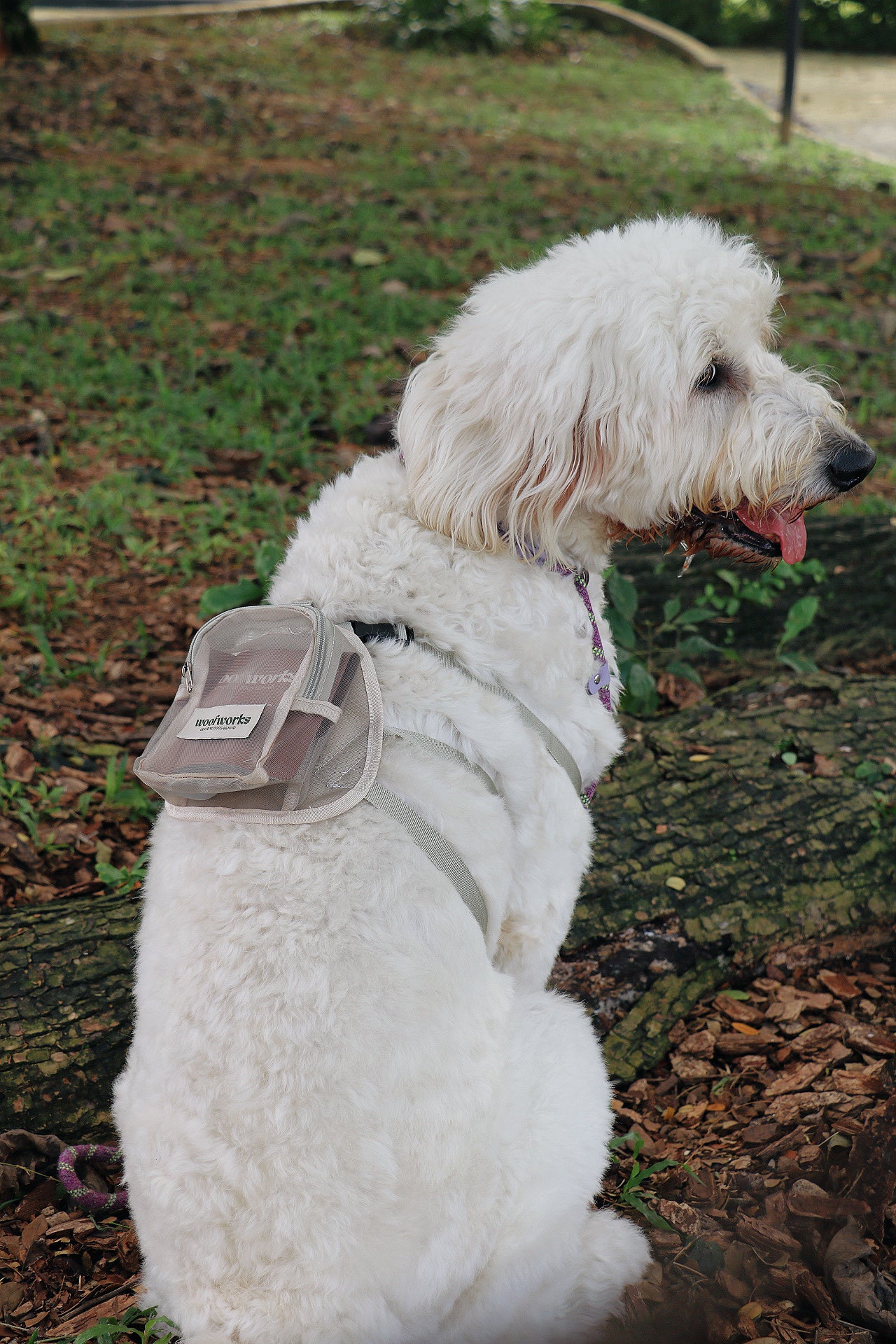 pet barkpack