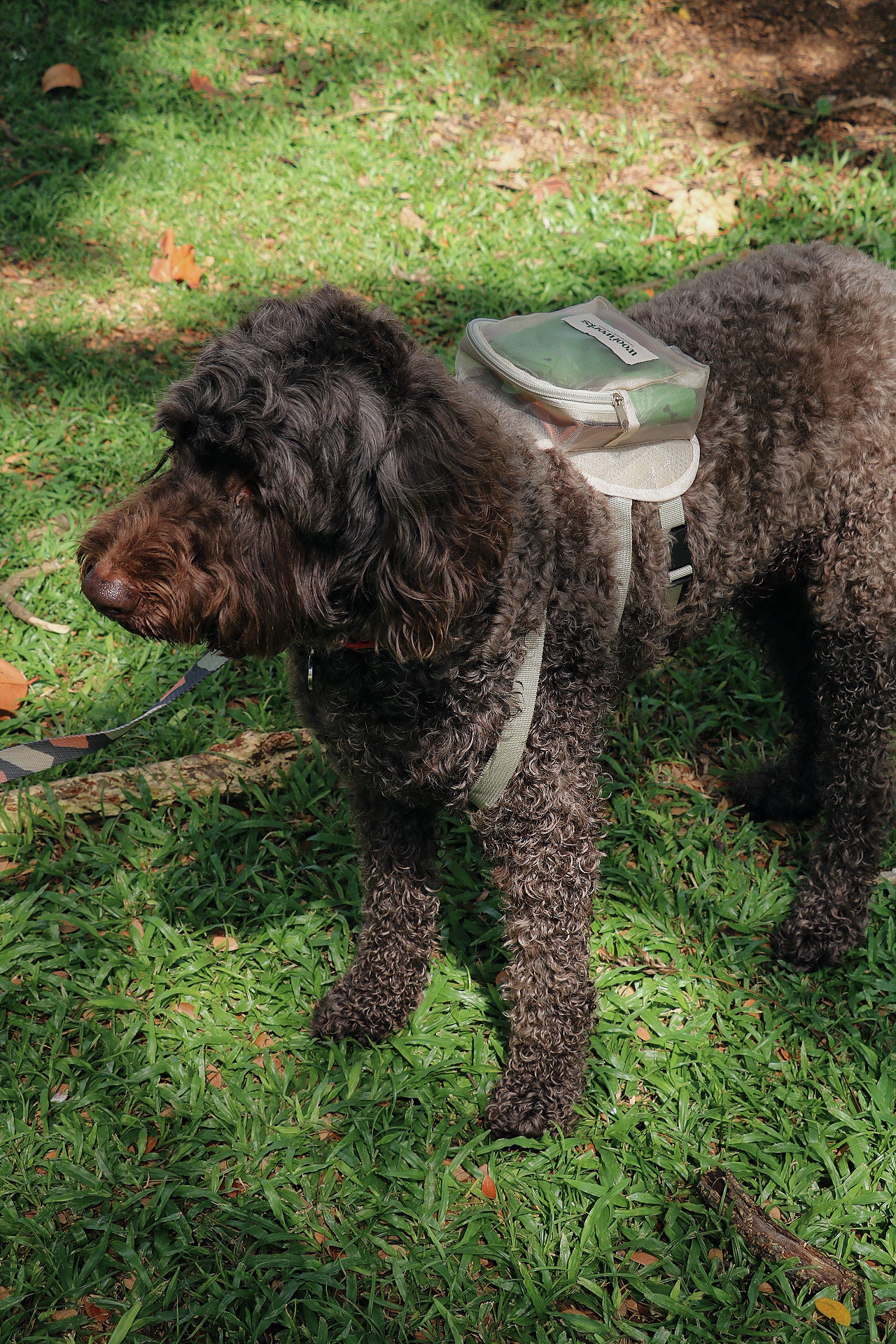 pet barkpack