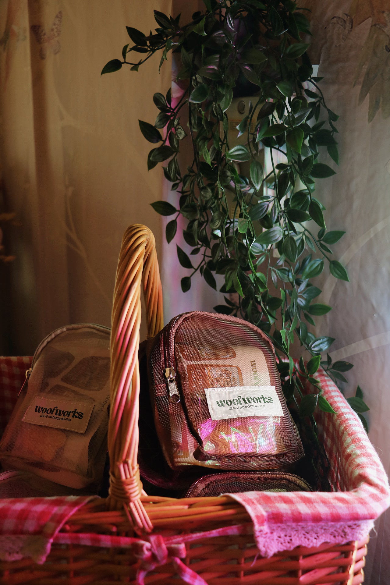 pet-friendly event space